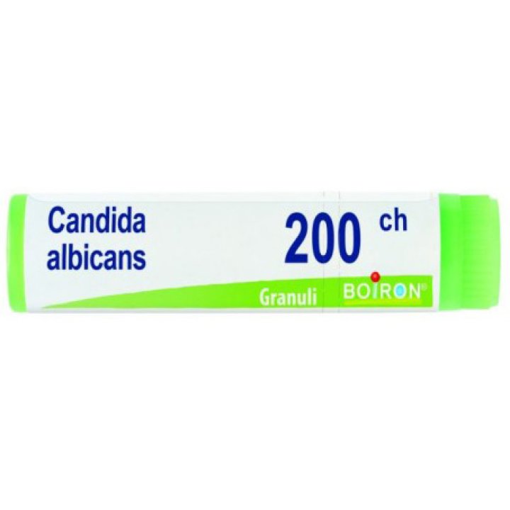 CANDIDA ALBICANS 200CH GLOBULI