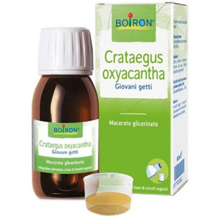 CRATAEGUS OXYACANTHA  TINTURA MADRE 60 ML