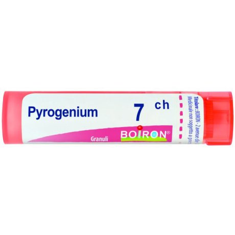 PYROGENIUM 7 CH GRANULI