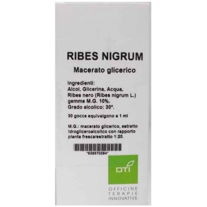 RIBES NIGRUM MACERATO GLICERICO 10% CCE 100ML