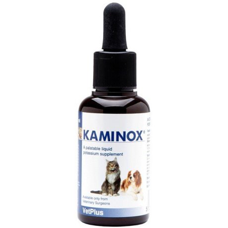 KAMINOX SCIROPPO 60 ML