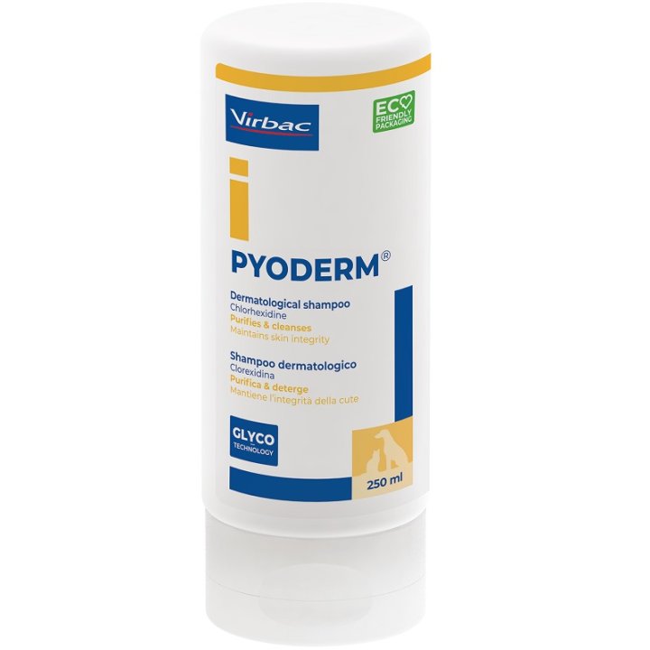 PYODERM SHAMPOO 250 ML PYODERM SHAMPOO 250 ML
