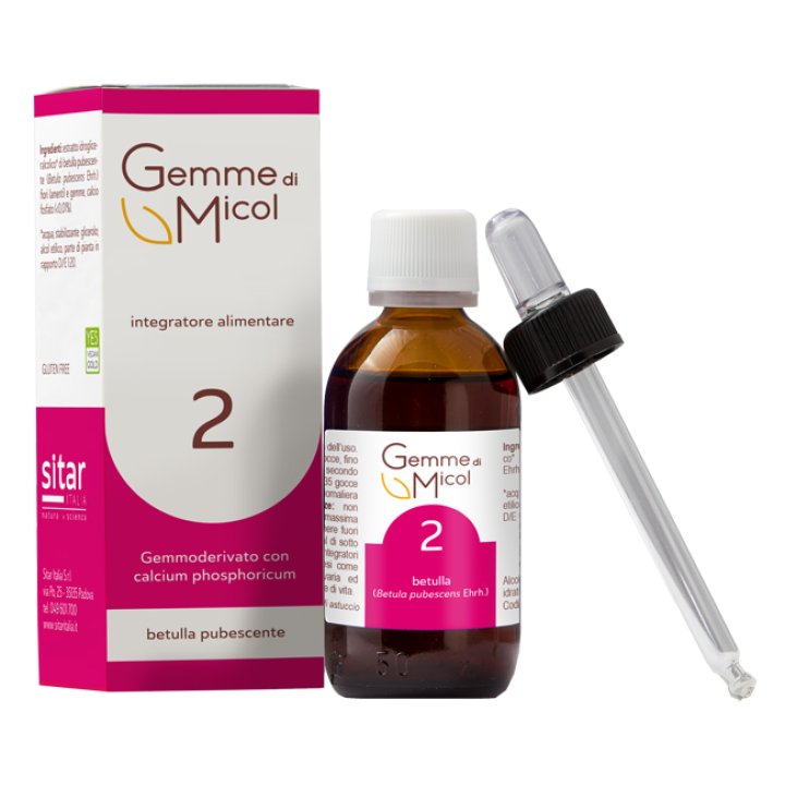 GEMME DI MICOL SOLUZIONE IDROGLICERALCOLICA 2 30 ML GEMME DI MICOL SOLUZIONE IDROGLICERALCOLICA 2 30 ML