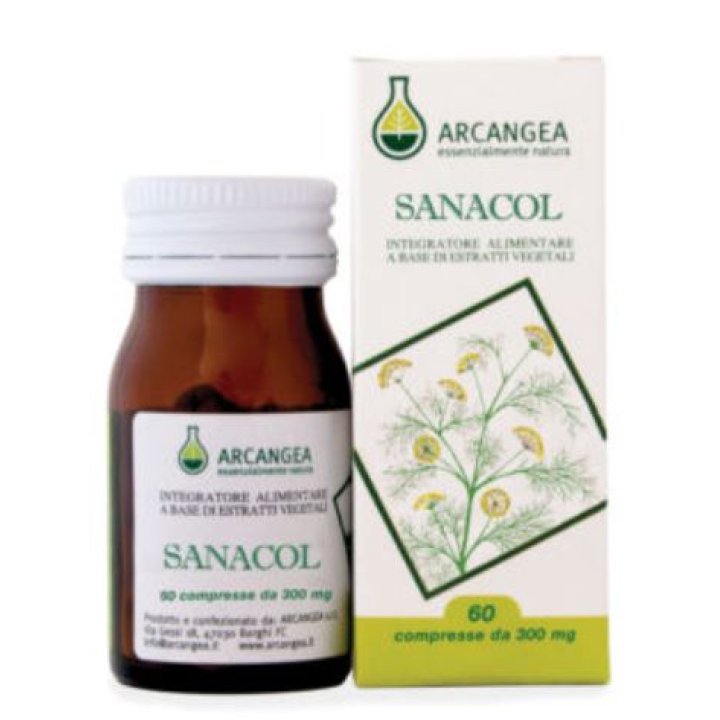 SANACOL 60 COMPRESSE 500 MG SANACOL 60 COMPRESSE 500 MG