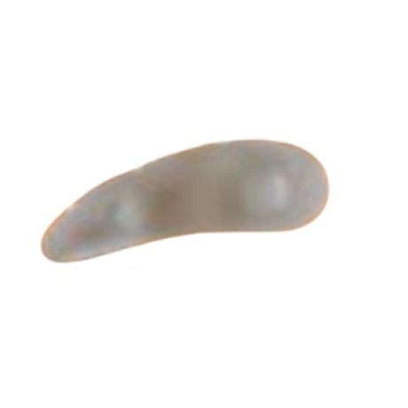 ORIONE OK PED G114 CUSCINETTO 3 ANELLI PER DITA A MARTELLO DESTRO MISURA UNICA
