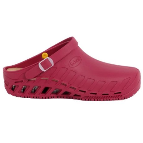 CLOG EVO TPR UNISEX WINE 42/43
