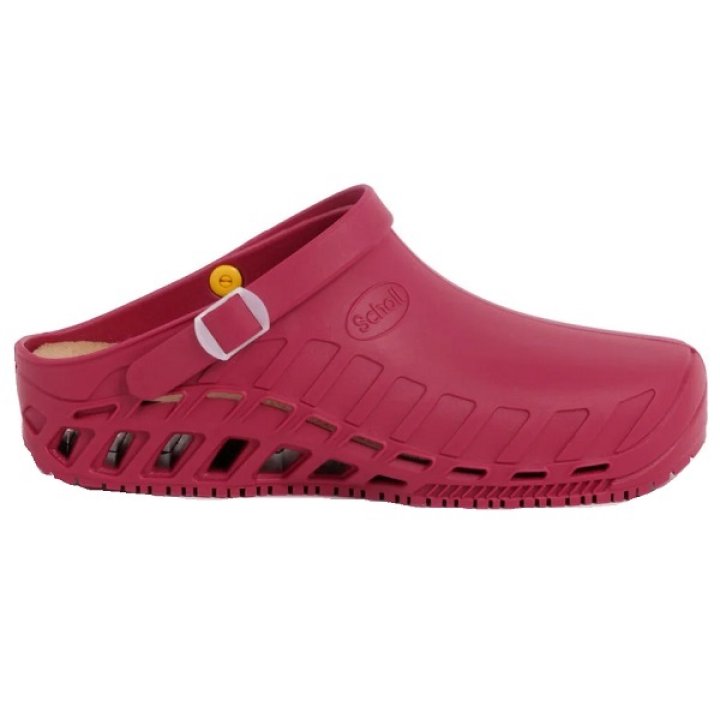 CLOG EVO TPR UNISEX WINE 42/43