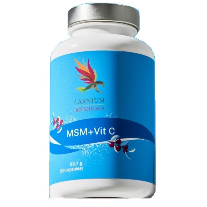 CARNIUM BOT MSM+VIT C 90CPS