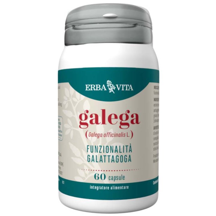 GALEGA 60 CAPSULE GALEGA 60 CAPSULE