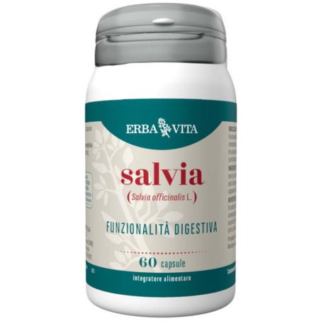 SALVIA 60 CAPSULE