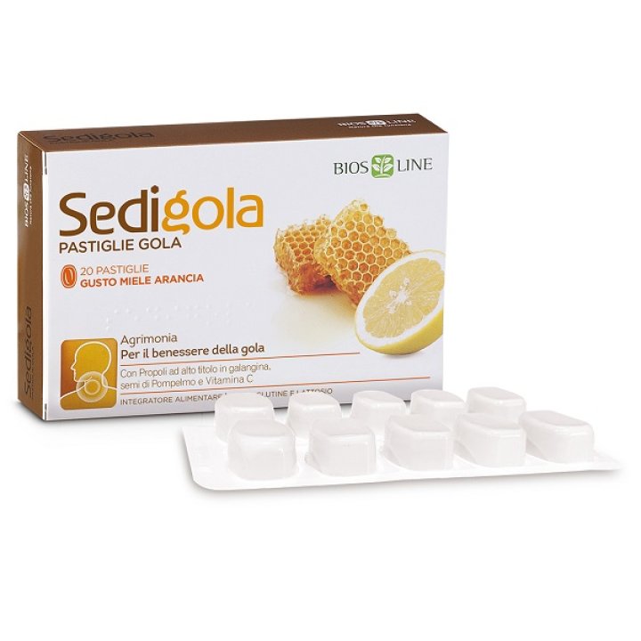 APIX SEDIGOLA MIELE ARA 20PAST