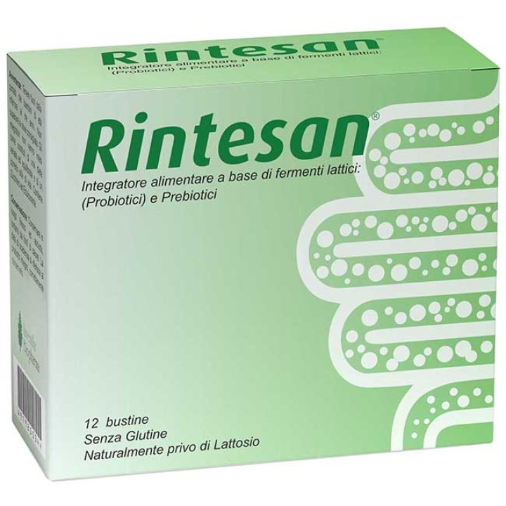 RINTESAN 12BUST RINTESAN 12BUST