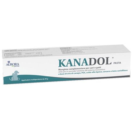 KANADOL PASTA 30 G KANADOL PASTA 30 G