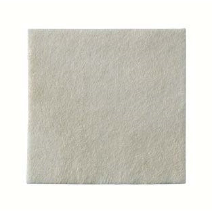 BIATAIN ALGINATE AG 10X10 10PZ