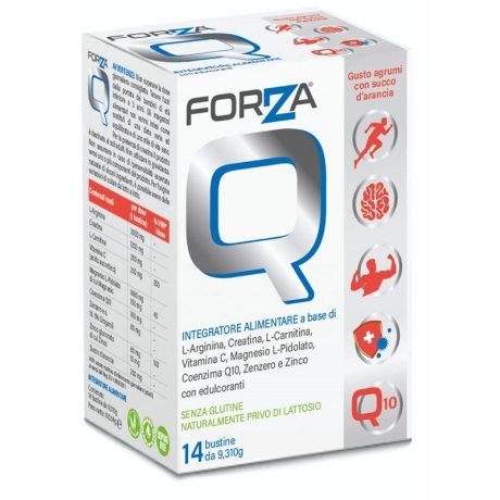 FORZA Q 14BUST 9,310GR