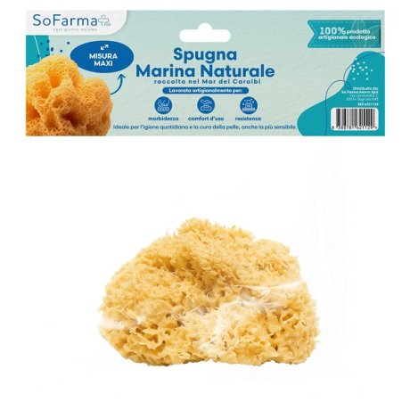 SPUGNA MARINA NATURALE MAXI SOFARMAPIU'