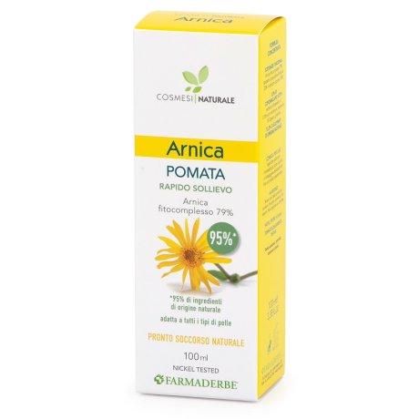 ARNICA POMATA 100ML