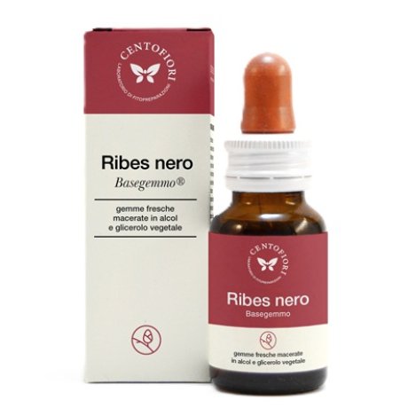 BASEGEMMO RIBES NERO 30ML