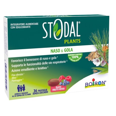 STODAL PLANTS FRUTTI RO 36PAST