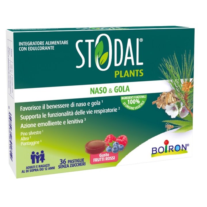 STODAL PLANTS FRUTTI RO 36PAST