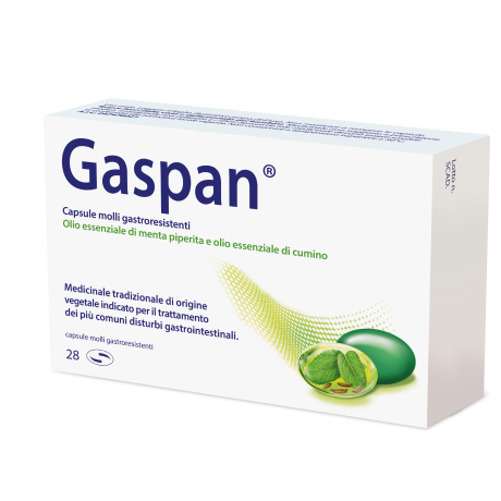 GASPAN 28 CAPSULE MOLLI GASTRORESISTENTI