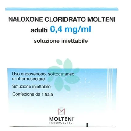 NALOXONE CLORIDRATO MOLTENI SOLUZIONE INIETTABILE NALOXONE CLORIDRATO MOLTENI SOLUZIONE INIETTABILE