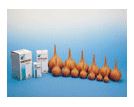 SCHIZZETTO MMA 6 115 ML