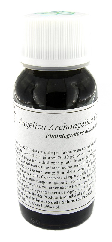 LVS 06N ANGELICA ARCHANGELICA COMPOSITUM