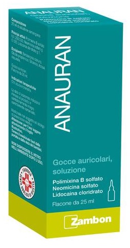 ANAURAN CCE AURICOLARI, SOLUZIONE
